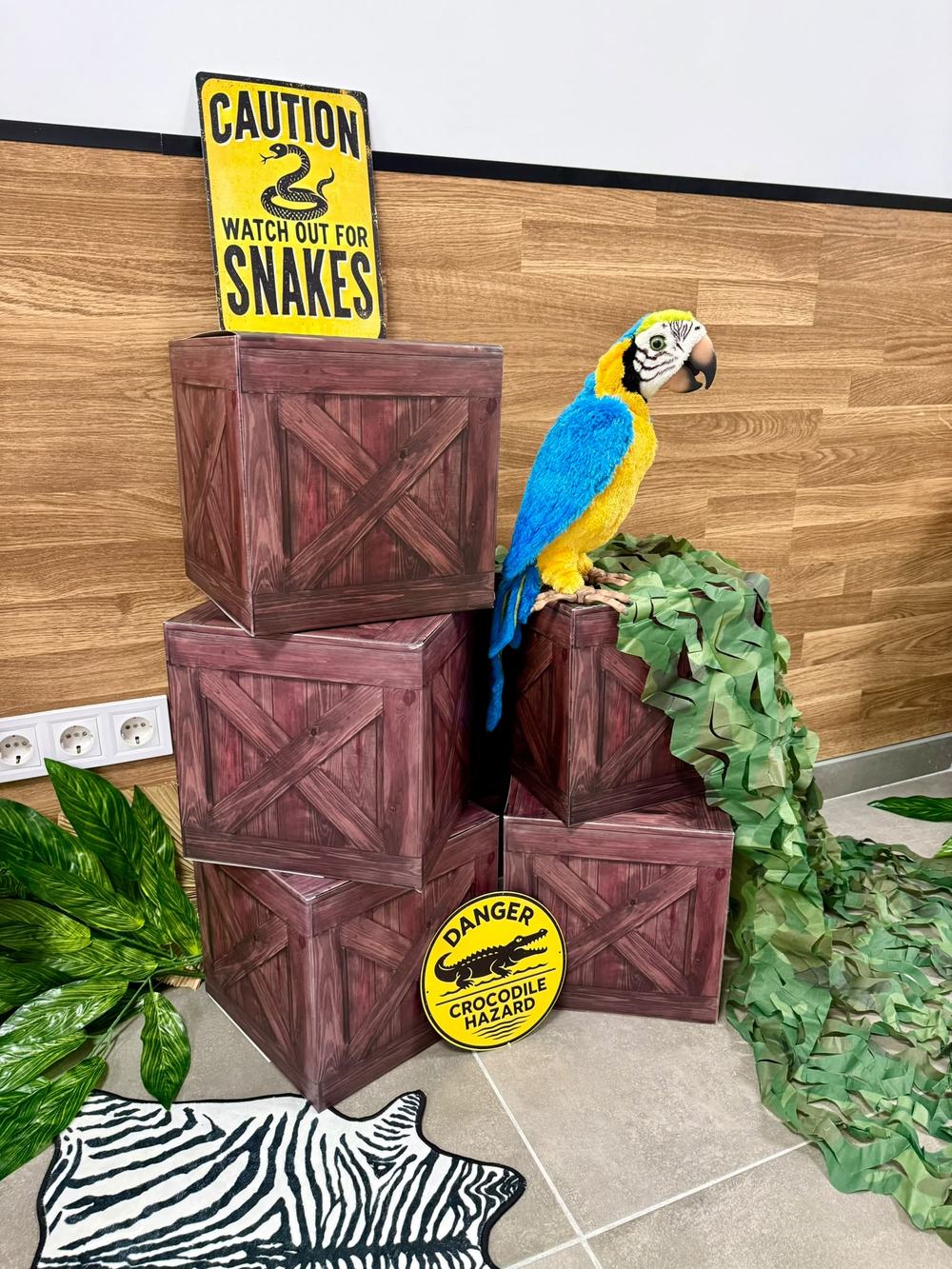 Decoración safari con loro y cajas de madera